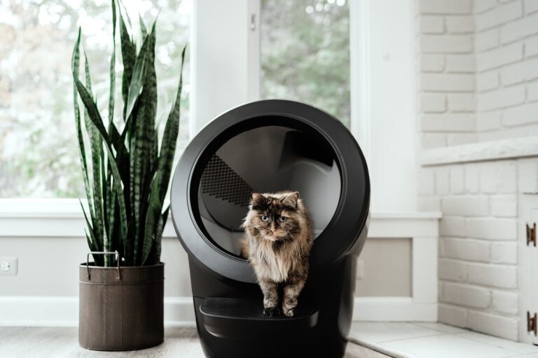 Litter Robot Review